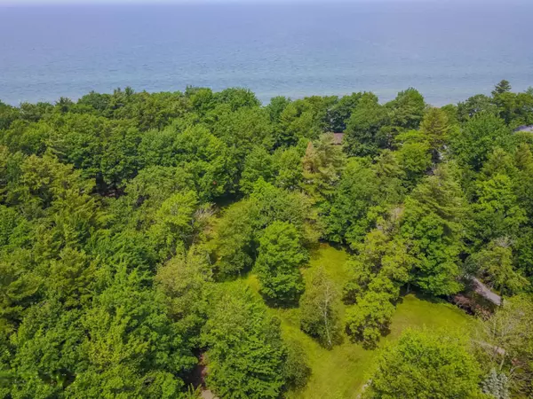 Mears, MI 49436,Parcel A N Ridge Road