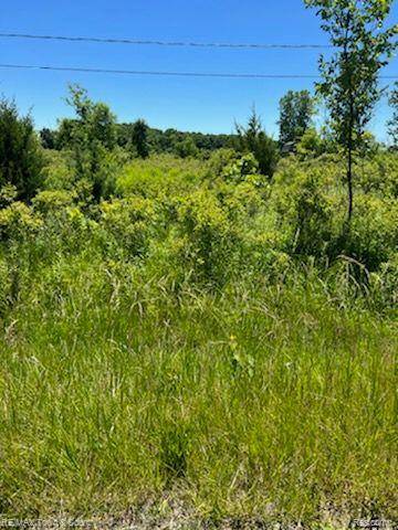 Clio, MI 48420,0 E WILSON Road