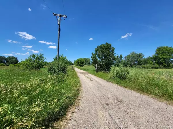 Brown, MI 48416,3848 PECK Road