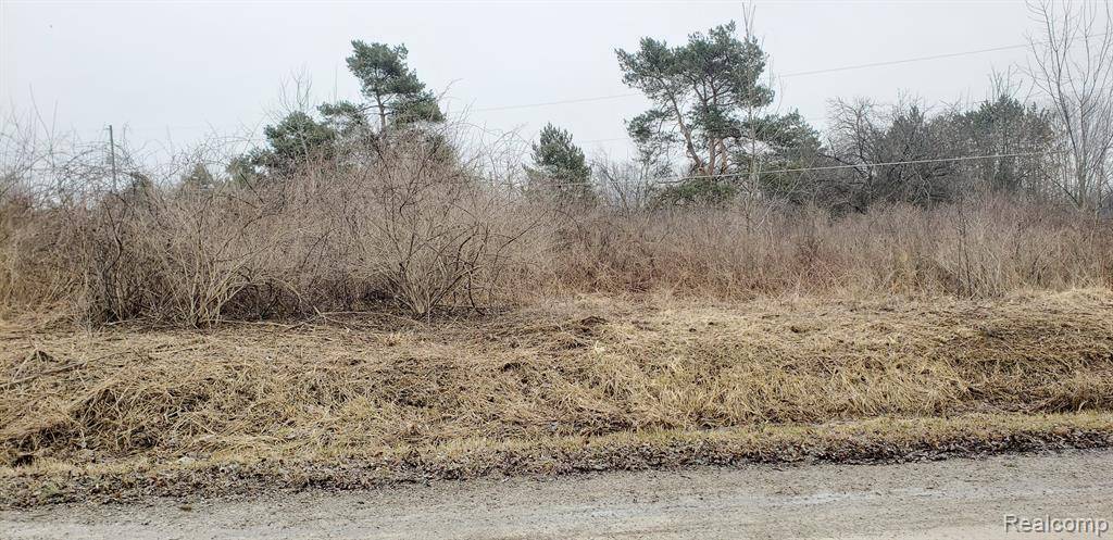 2300 N MCKINLEY Road, Flushing, MI 48433