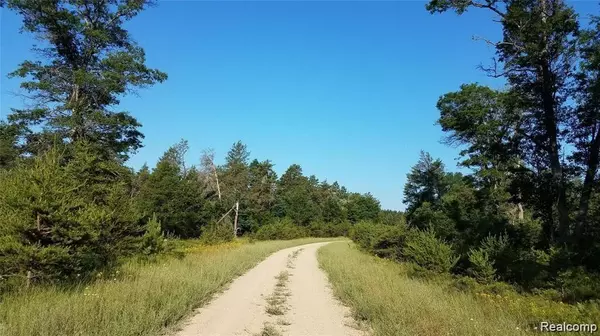 Roscommon, MI 48653,00 Wobbler Trail