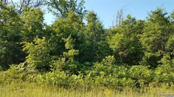 Roscommon, MI 48653,00 Wobbler Trail