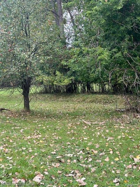 Rochester Hills, MI 48307,000,001,002,003 Walton - possible 4 home sites