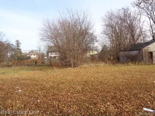 Detroit, MI 48214,3806 BELVIDERE Street