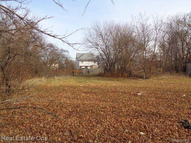 Detroit, MI 48214,3806 BELVIDERE Street