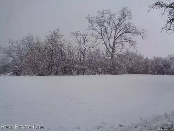 Detroit, MI 48207,1043 CANTON Street