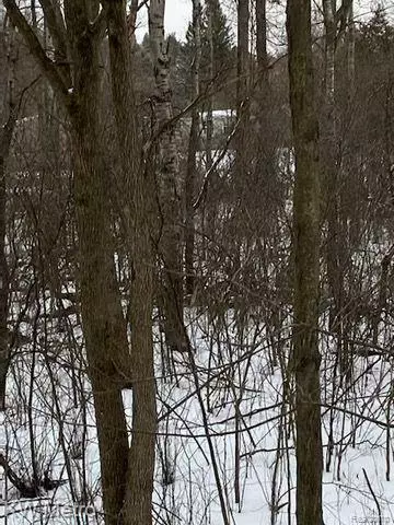 Oxford, MI 48371,1135 N BALDWIN Road