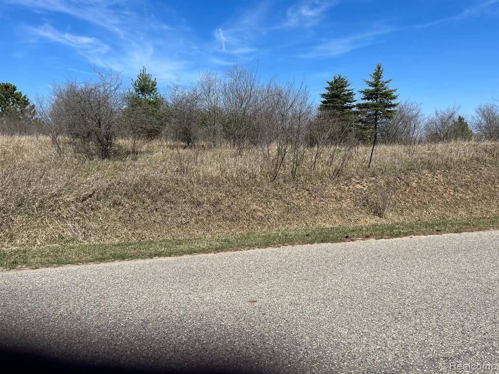 Butman, MI 48624,Lot 107 Manchester Way Street