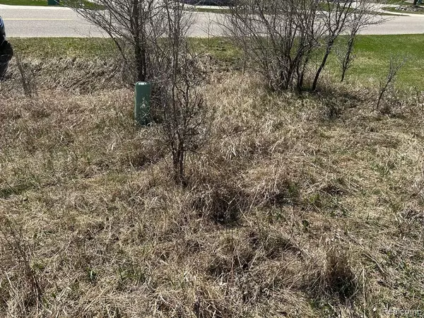 Butman, MI 48624,Lot 107 Manchester Way Street