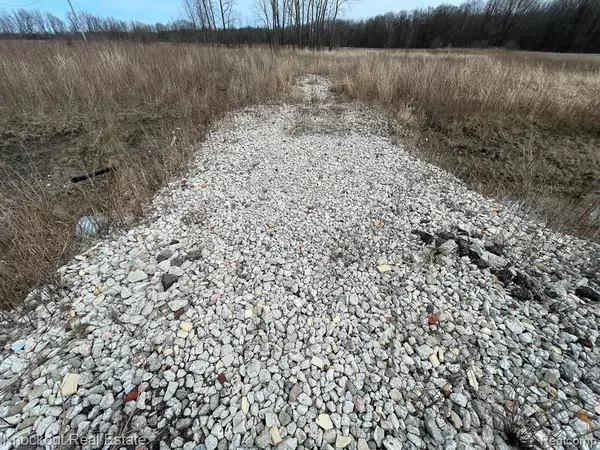 Otter Lake, MI 48464,13176 HENDERSON Road