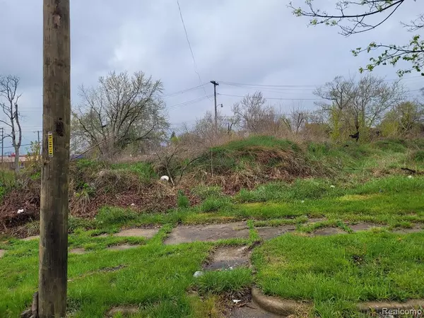 Detroit, MI 48206,3324 ROCHESTER Street