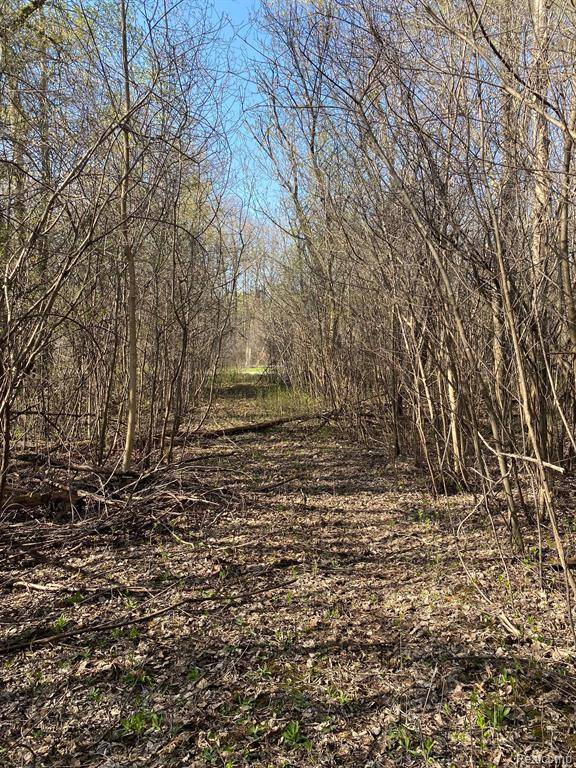 Oxford, MI 48371,00 Sandstone Drive