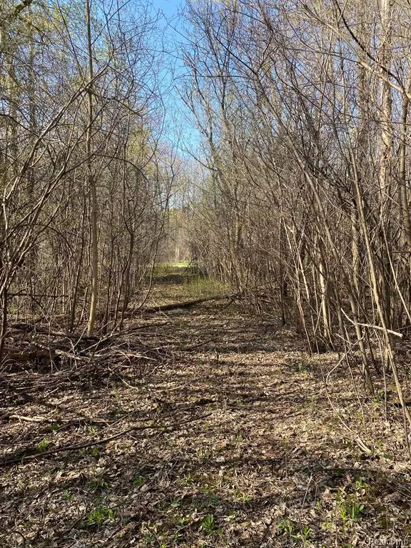 Oxford, MI 48371,00 Sandstone Drive