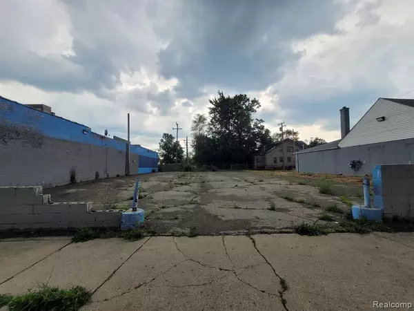 Detroit, MI 48238,7147 PURITAN Street