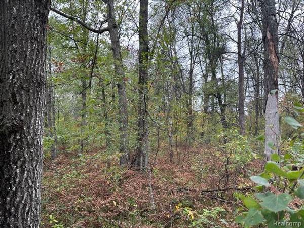 10 Acres W 6 Mile Rd, Grayling, MI 48738