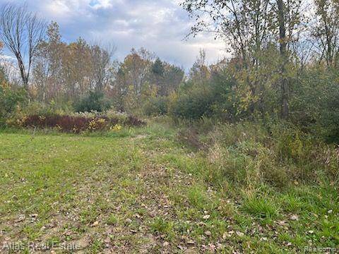 Flint, MI 48507,VL Lexa Lane