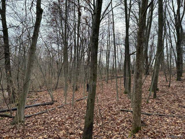 Ortonville, MI 48462,2.76 Perry Lake