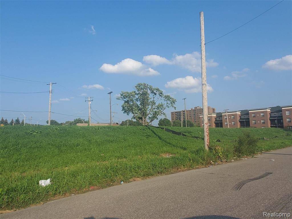 Detroit, MI 48208,1932 W ALEXANDRINE Street