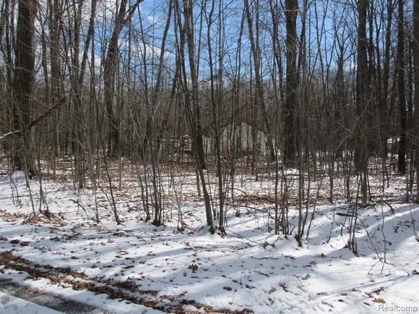 Roscommon, MI 48653,Lot 62 Maplewood
