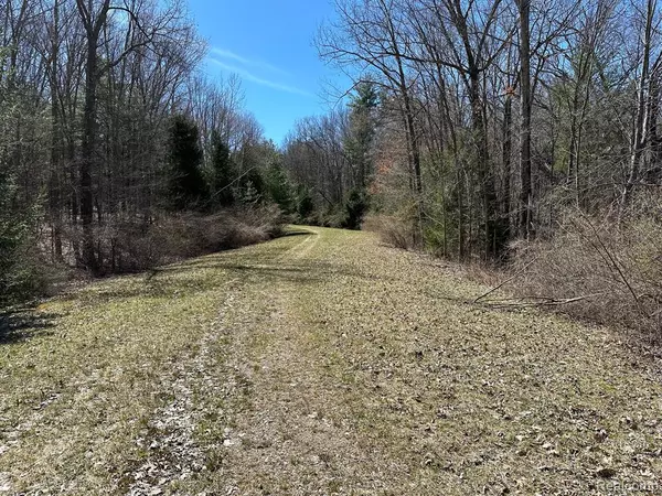 Leonard, MI 48367,11.01 Acres Vacant Land KNIGHTS BRIDGE Road