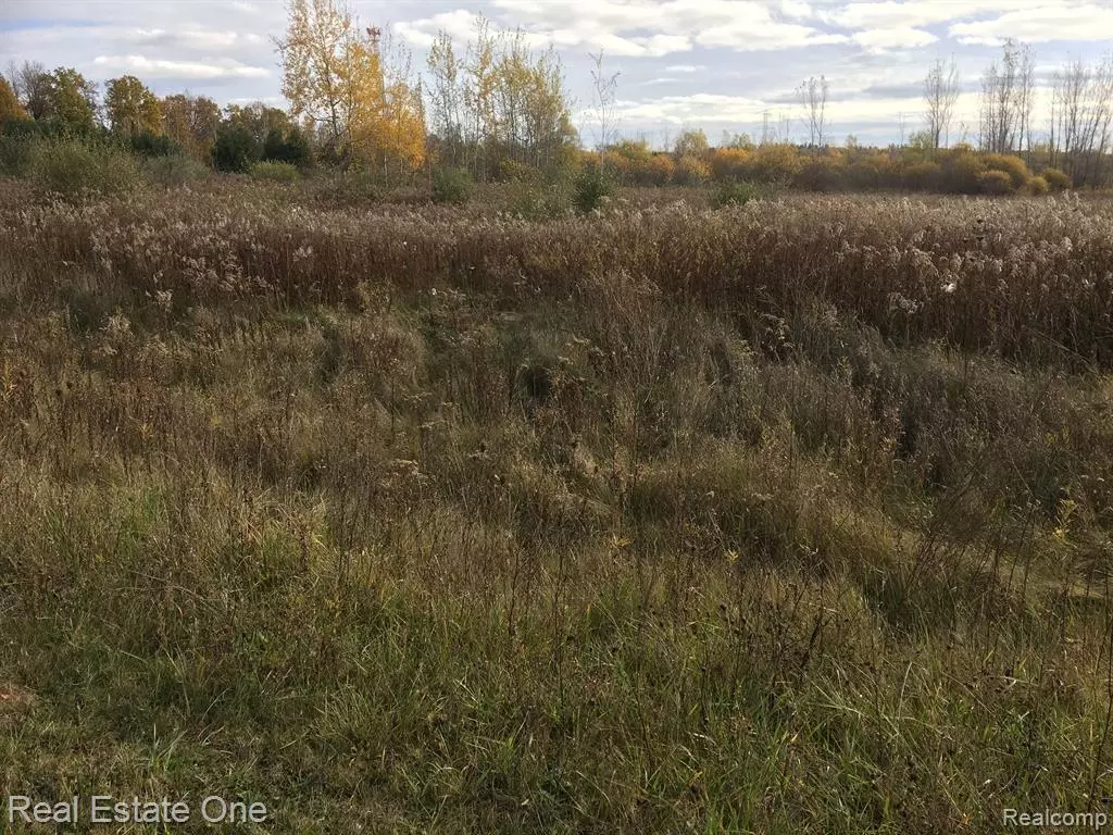 Dryden, MI 48428,02 SINGLE TREE Circle