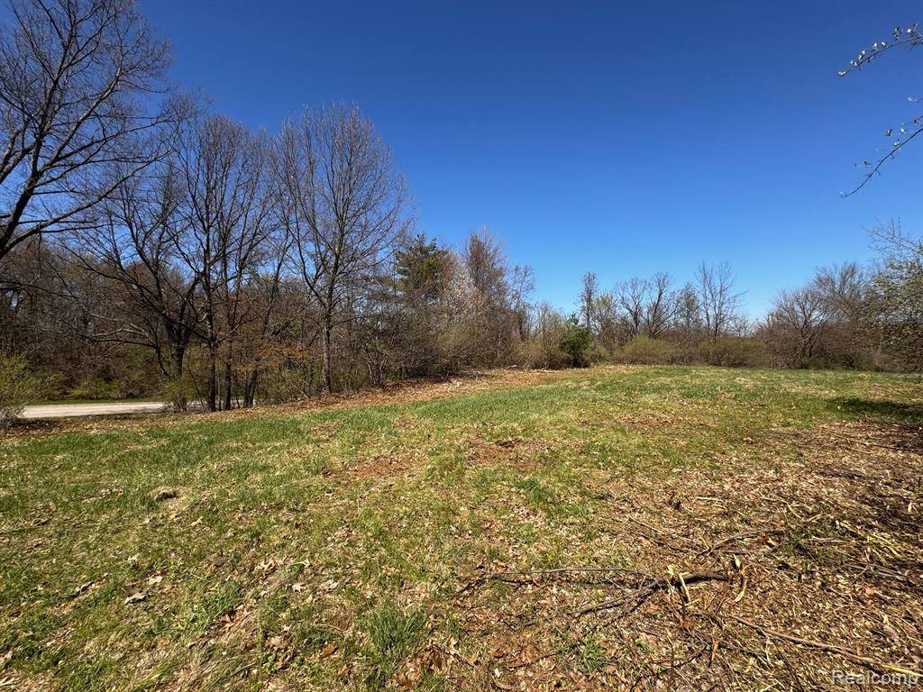 Metamora, MI 48455,4115 CARRIAGE HILL Drive