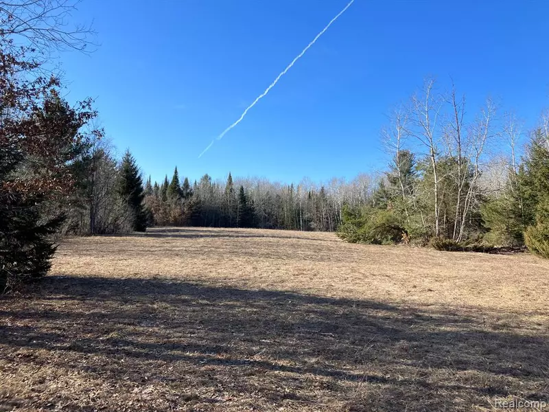Vacant Land M-76, West Branch, MI 48661