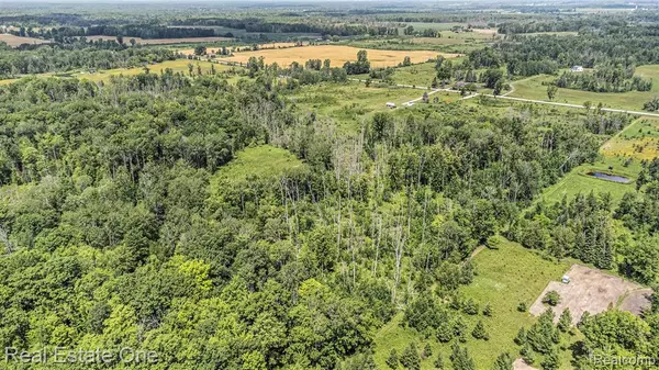 Prescott, MI 48756,VL Mills Road