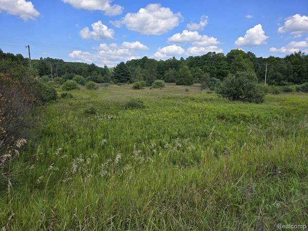 10922 11 Mile Rd Lot D,  Bear Lake,  MI 49614