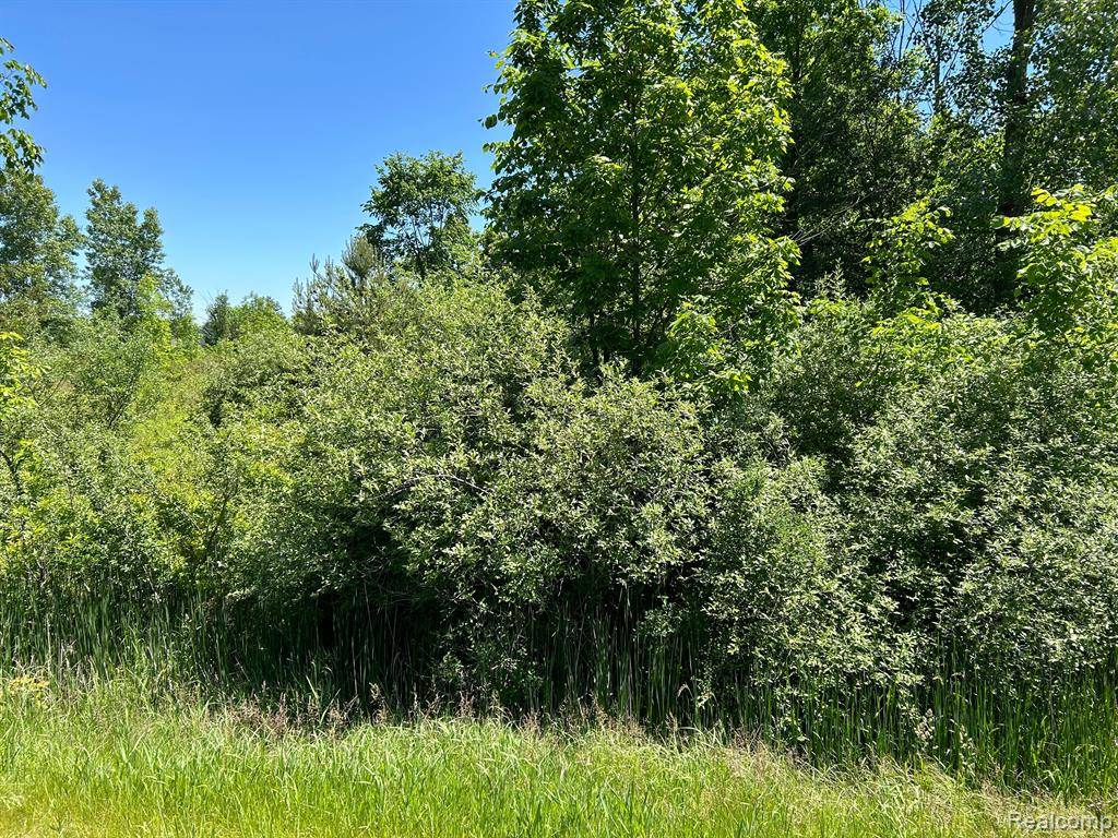 North Branch, MI 48461,0 N LAPEER Road