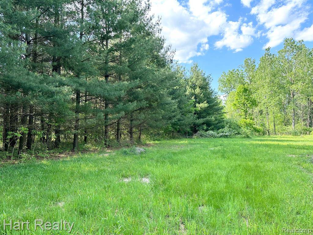 Marlette, MI 48453,6688 White Creek Road