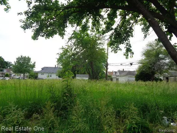 Hamtramck, MI 48212,5201 CASMERE Street