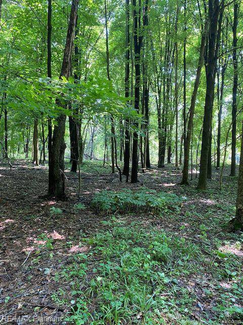 Howell, MI 48843,7 Sleaford-Parcel 7 - 2 Acres Road