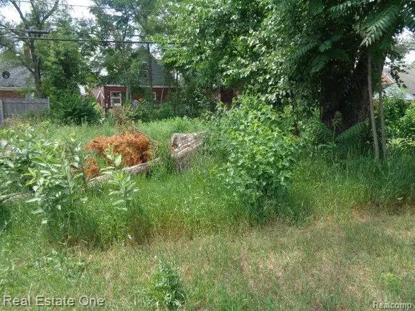 Detroit, MI 48235,16211 SCHAEFER