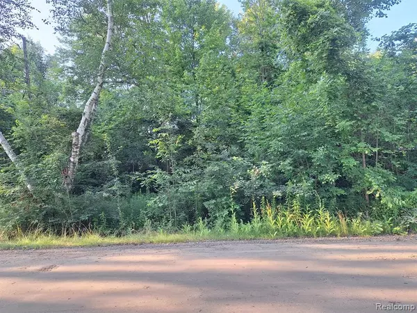 Lexington, MI 48450,000 Birchwood Road