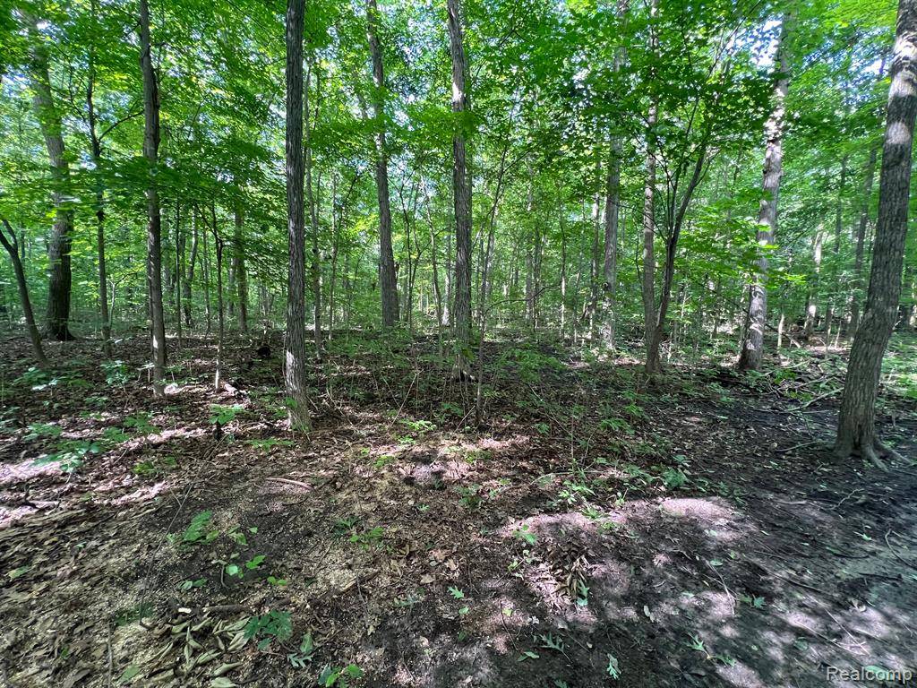 Brandon, MI 48462,00 N Hadley