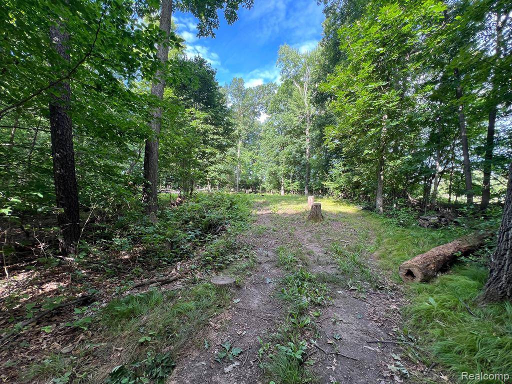 Brandon, MI 48462,00 N Hadley