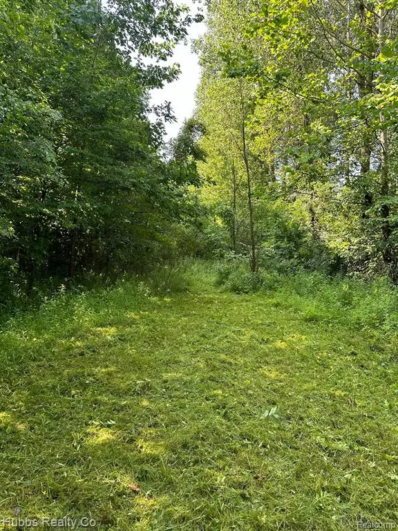 Millington, MI 48746,0000 Birch Run Rd.