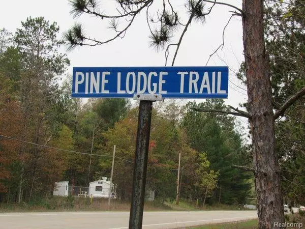 Roscommon, MI 48653,9 PINE LODGE ROBINSON Lake