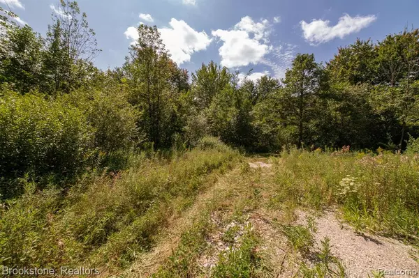 Ortonville, MI 48462,VL Sashabaw Road
