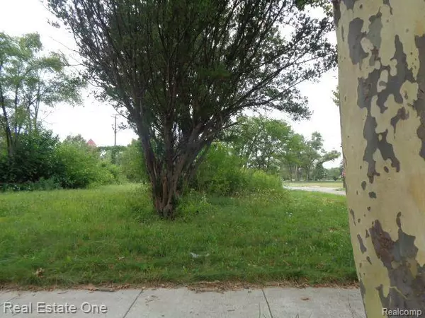 Hamtramck, MI 48212,13281 GABLE Street