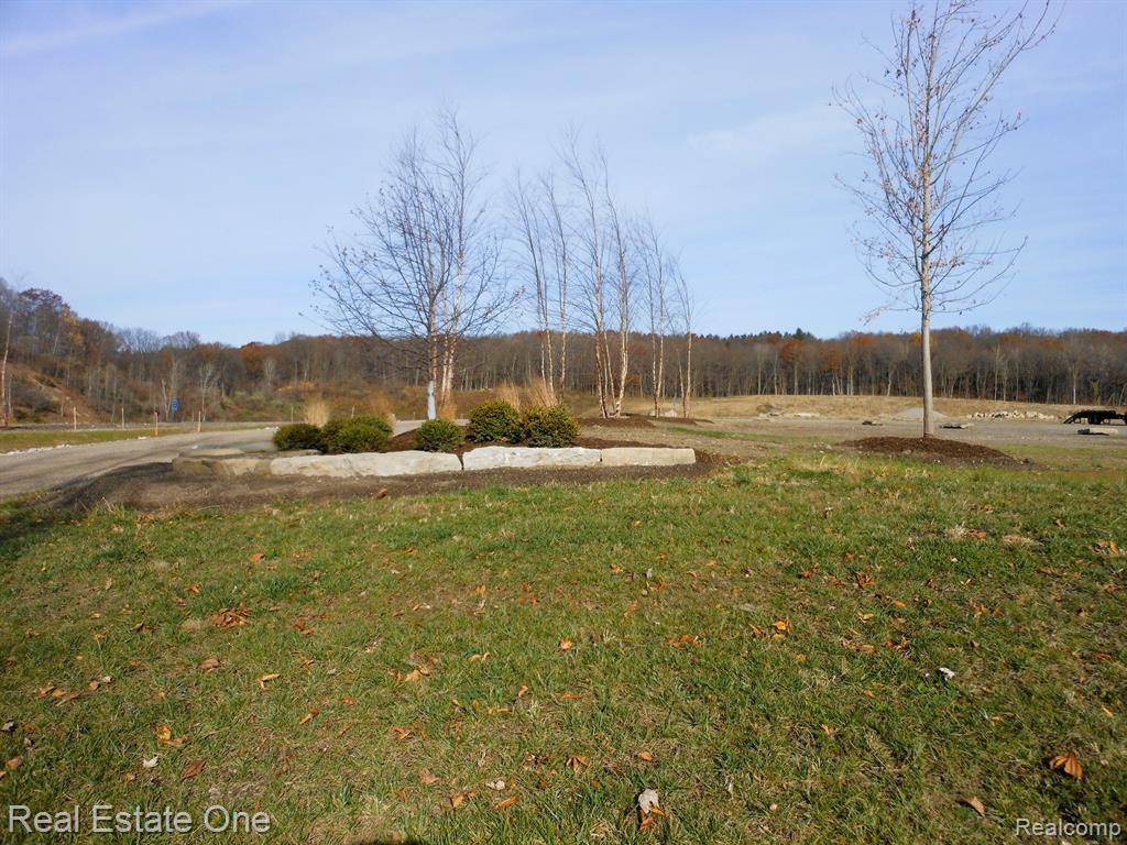 lot 1 Park Ridge Road, White Lake, MI