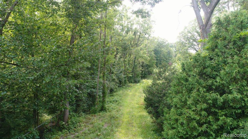 Lapeer, MI 48446,1515 RULANE Drive