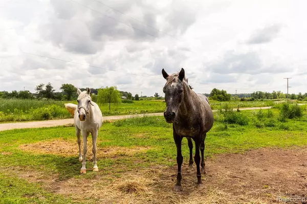 Ann Arbor, MI 48103,8620 SCIO CHURCH Road