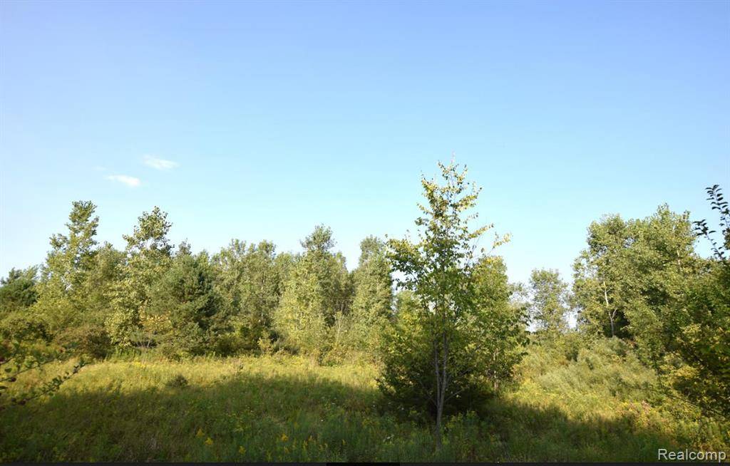 Flushing, MI 48433,8498 DUFFIELD Road