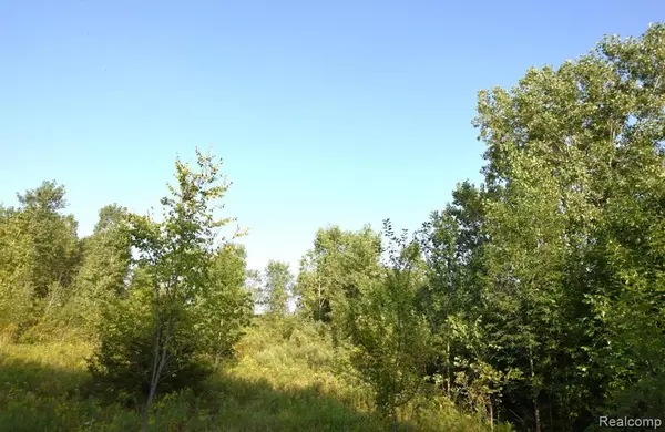 Flushing, MI 48433,8506 DUFFIELD Road