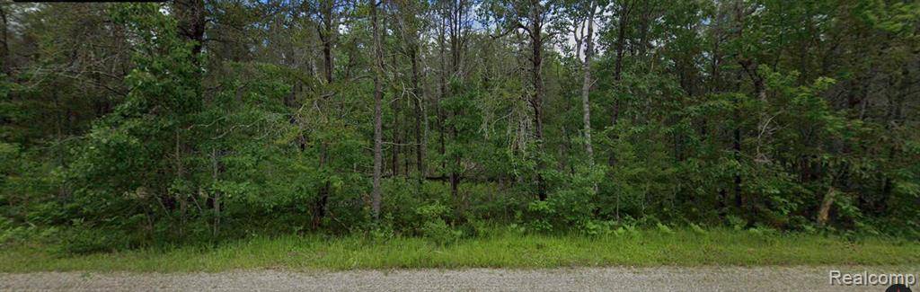 Millersburg, MI 49759,14250 TOWN HALL(Lot A & B)
