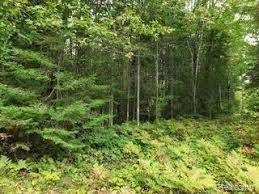 Millersburg, MI 49759,14250 TOWN HALL(Lot A & B)