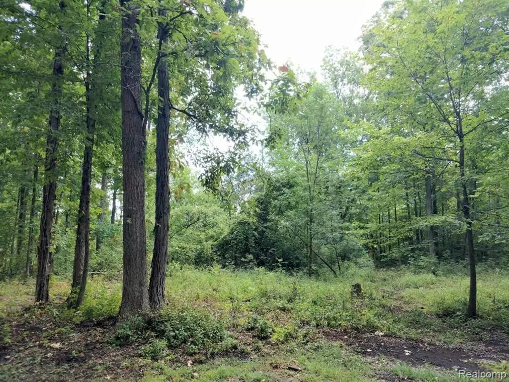 Newport, MI 48166,03 Joann Drive