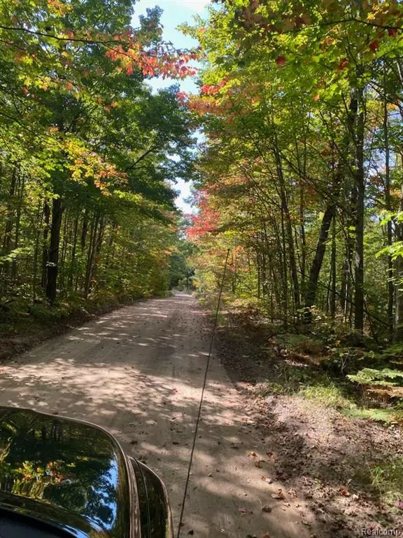 Gaylord, MI 49735,7528 OLD STUMP Road